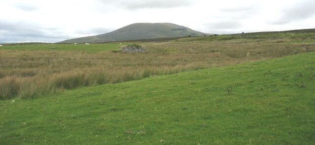 A grassy field with a hill in the background.