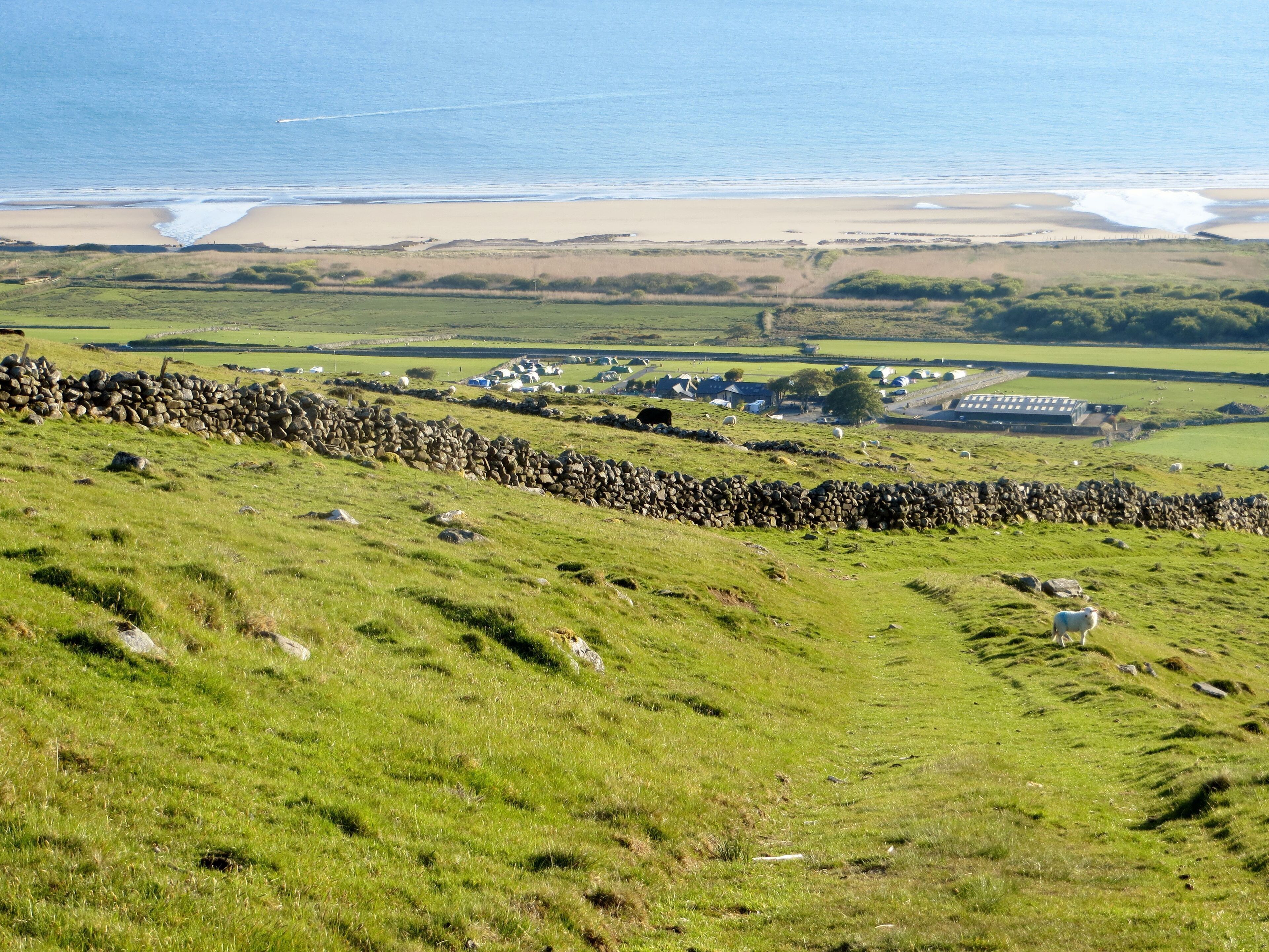 Trawsdir - from path to mynydd Egryn - May 2013