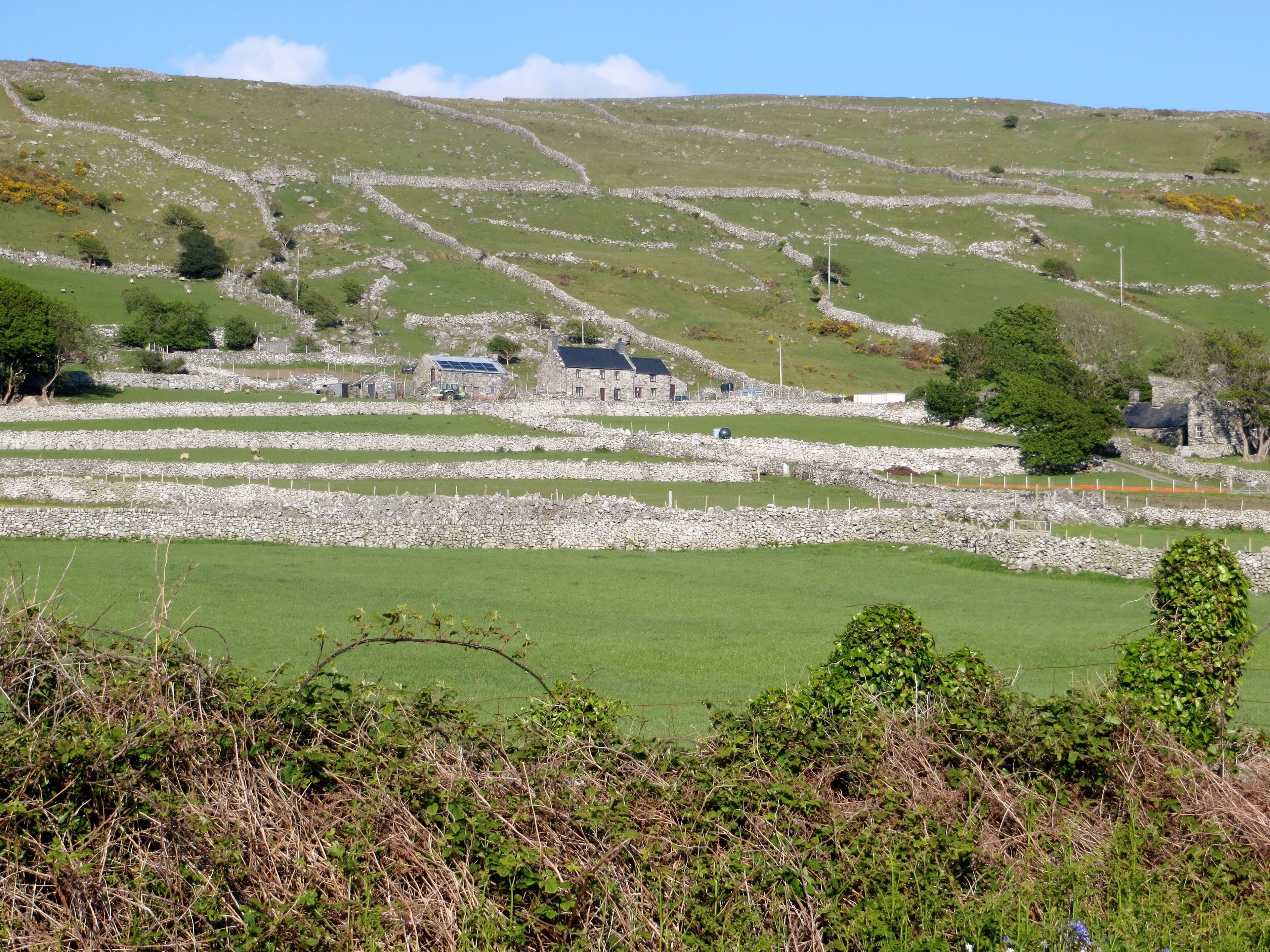 Farm buildings near Trawsdir, Barmouth - May 2013
