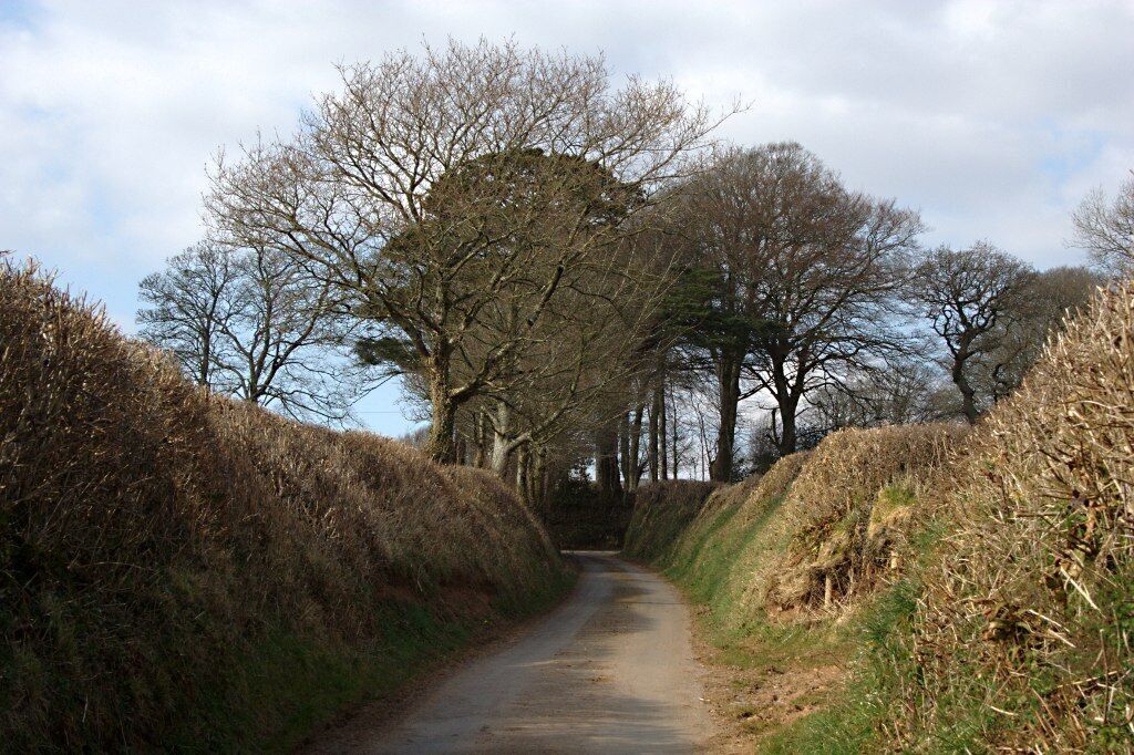The Road to Ludbrook Manor