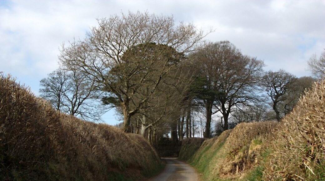 The Road to Ludbrook Manor