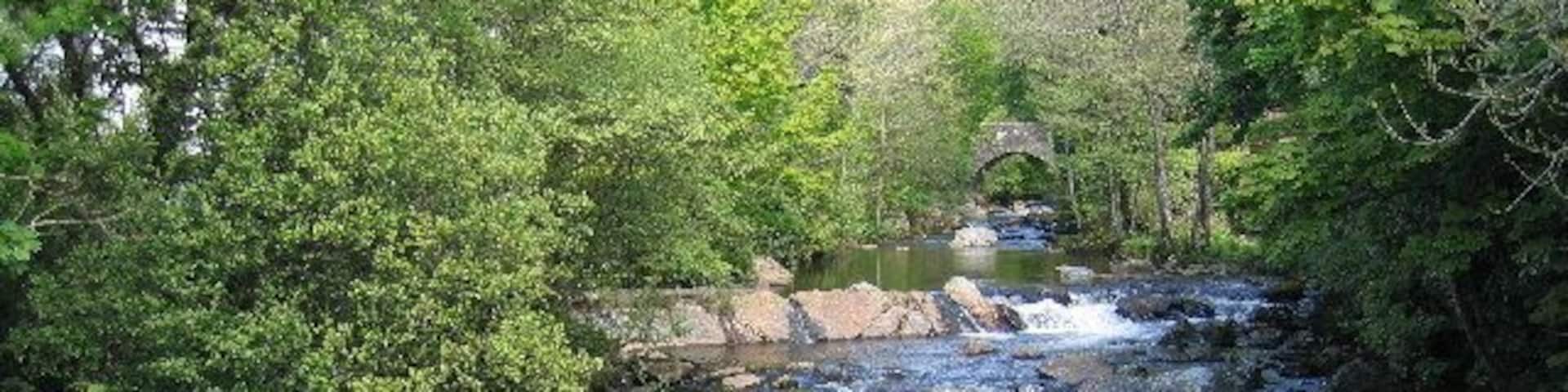 River Erme with Old Ivy Bridge, Ivybridge, Devon.