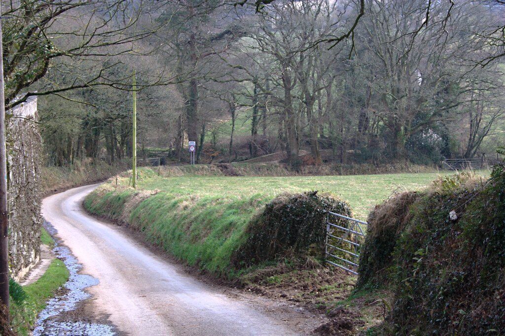 Approaching Shilston Bridge Looking down to the valley bottom and the narrow bridge across the brook.