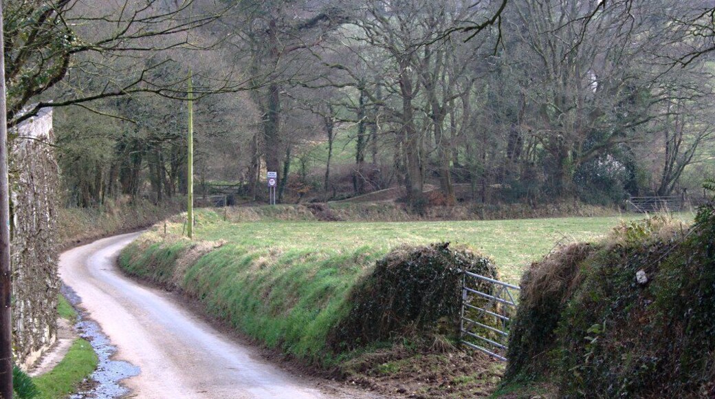 Approaching Shilston Bridge Looking down to the valley bottom and the narrow bridge across the brook.
