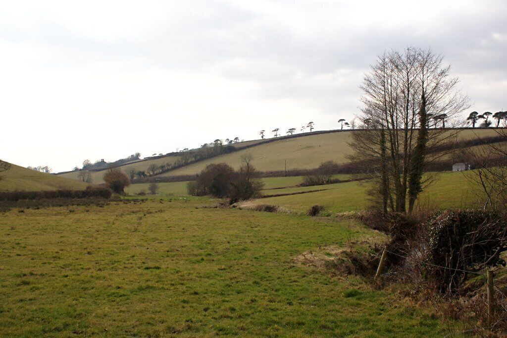 Sheepham Brook Looking east from the road at Sheepham Bridge.