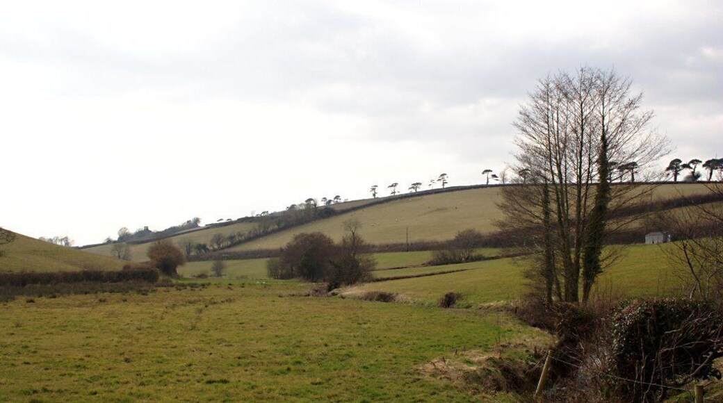 Sheepham Brook Looking east from the road at Sheepham Bridge.