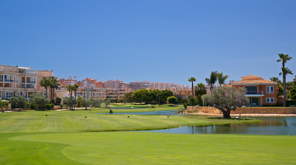Alicante Golf Course which includes golf