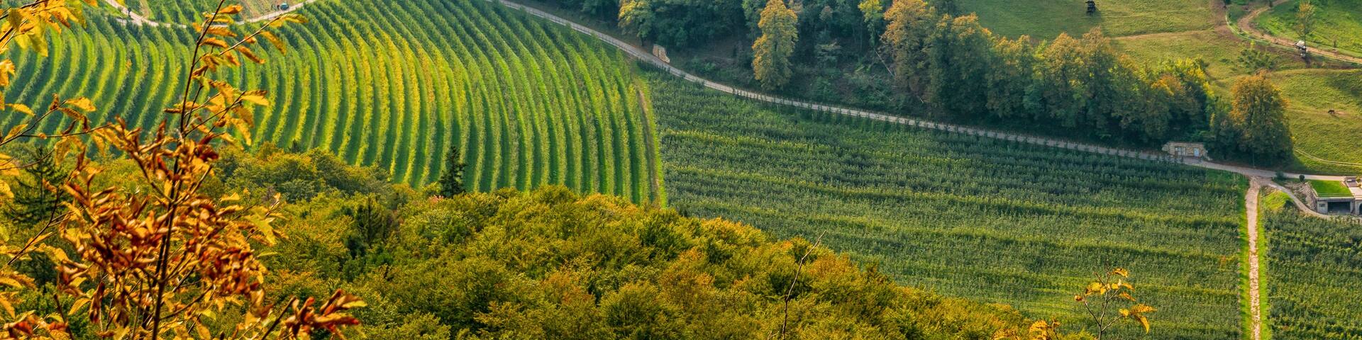autumnal landscape of Castel Thun, located in the commune of Ton in the lower Val di Non, Trentino Alto Adige, Italy