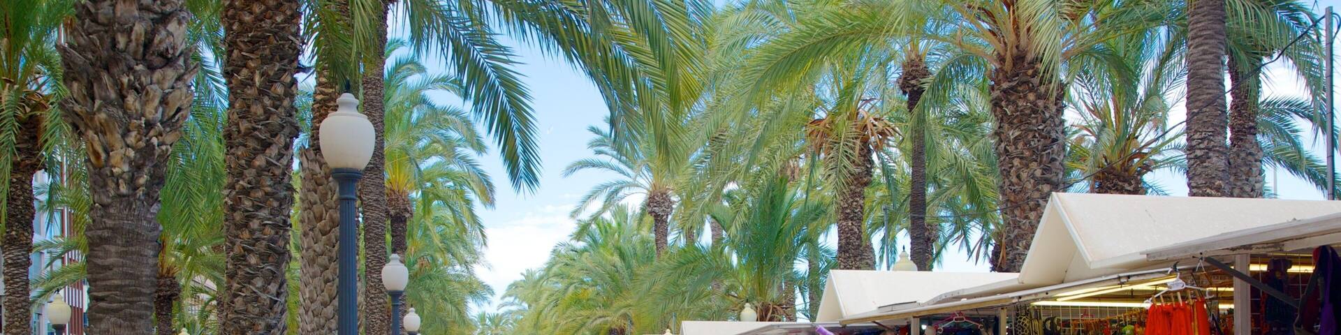 Explanada de Espana which includes street scenes, a coastal town and markets