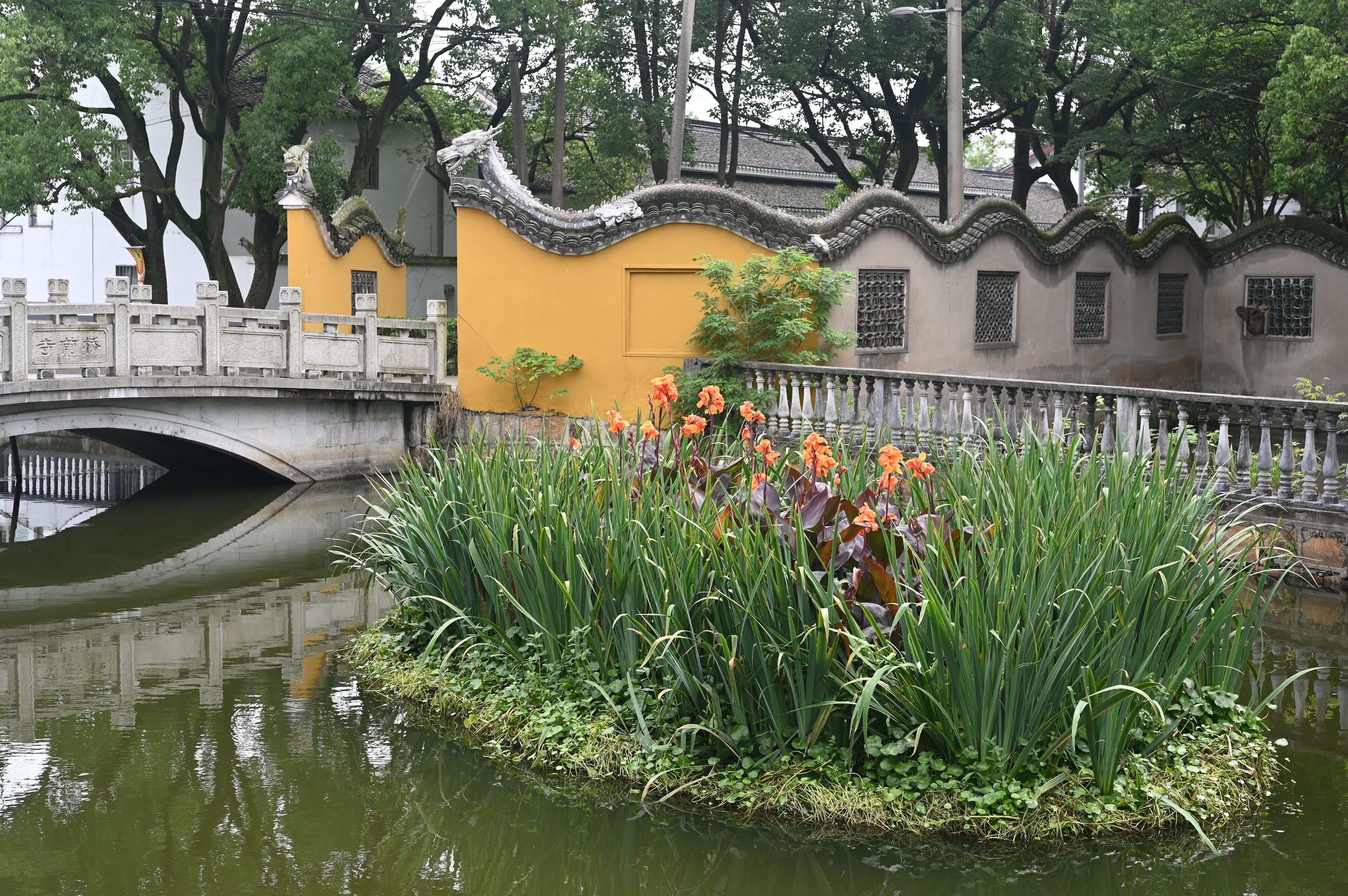 A traditional Chinese bridge over a pond with lotus flowers and a yellow building.