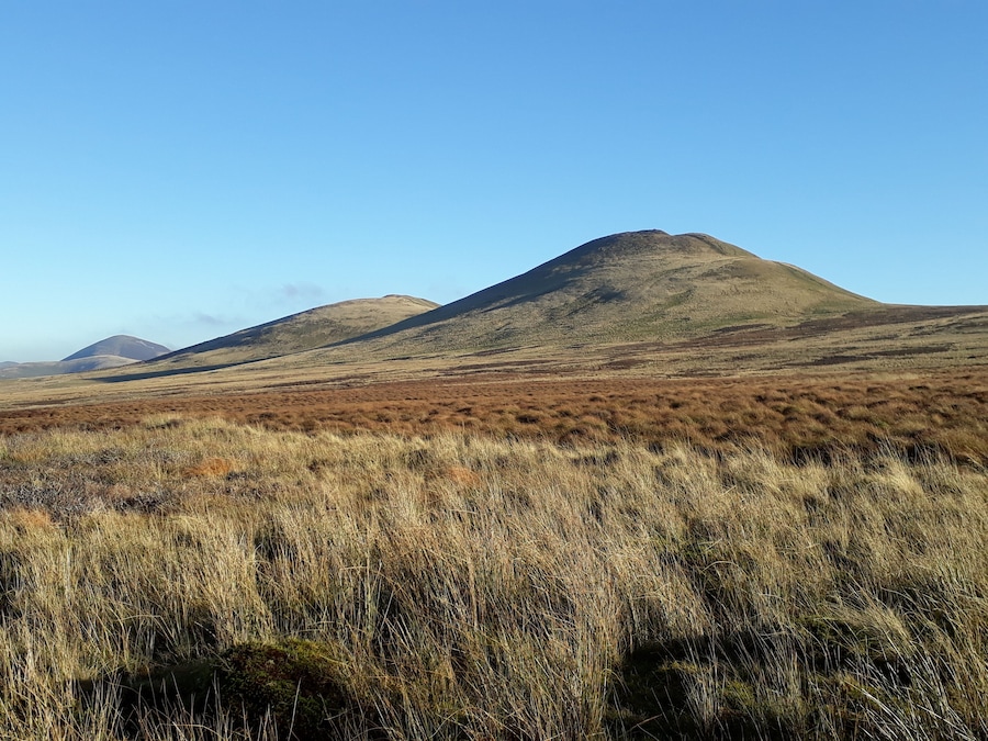 West Kip, East Kip and Scald Law on a stunning Novembral day...