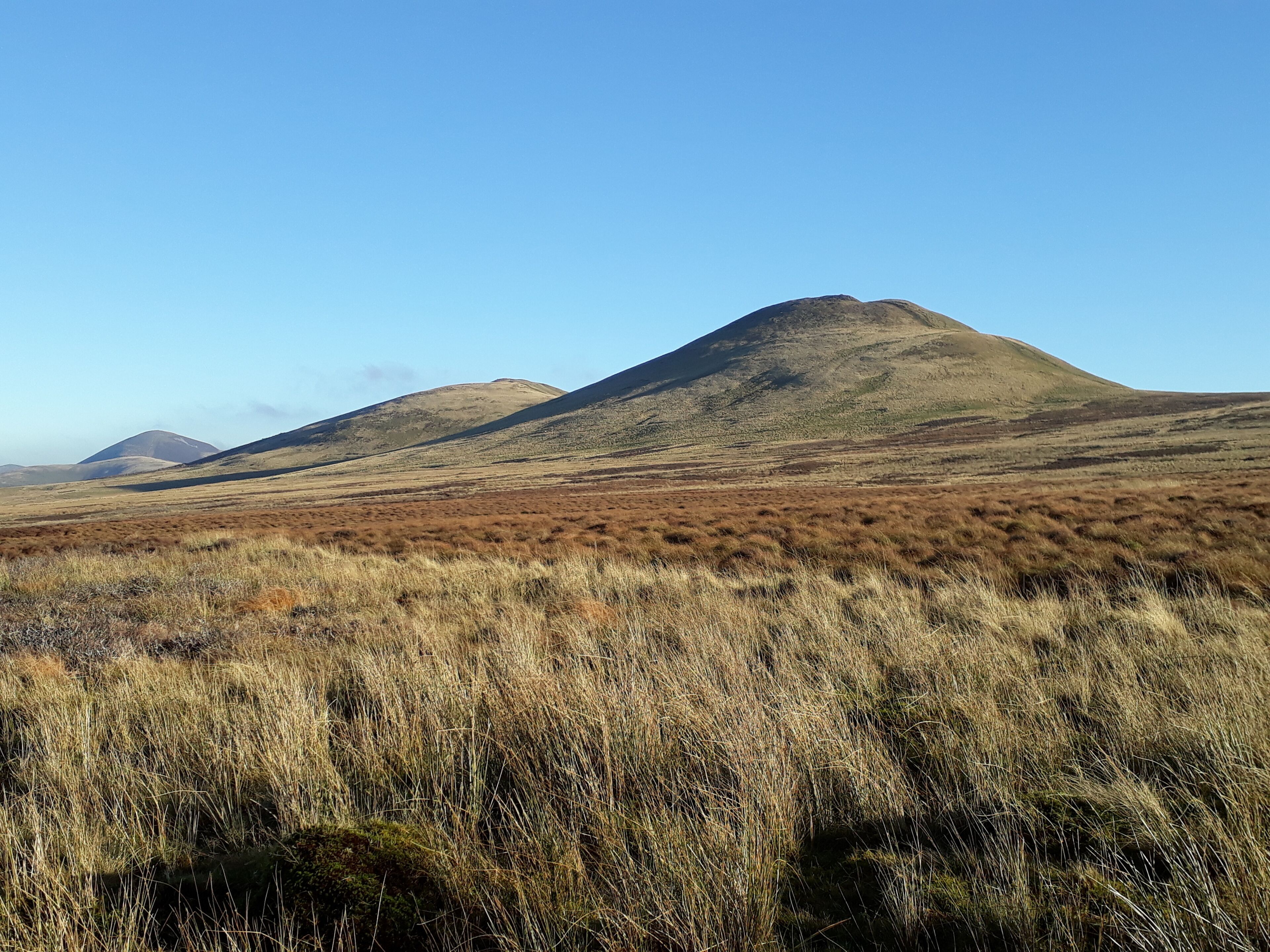 A grassy field with rolling hills and a clear blue sky.