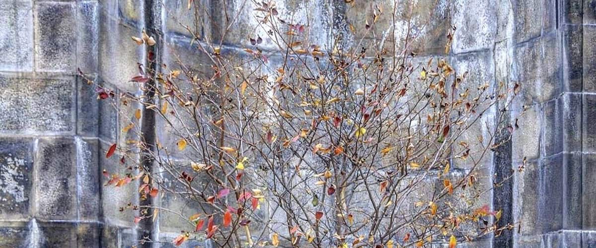 "Take it with you so you’ll always have a way to look back … and remember me".
-Beast. (The Beauty & The Beast).
•
Philadelphia, US.
•
#nikon #photographysouls #humanity