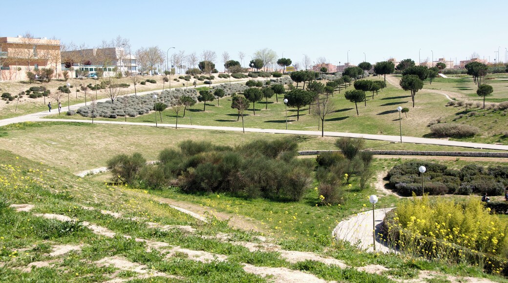 Panorámica de un parque de Valdebernardo