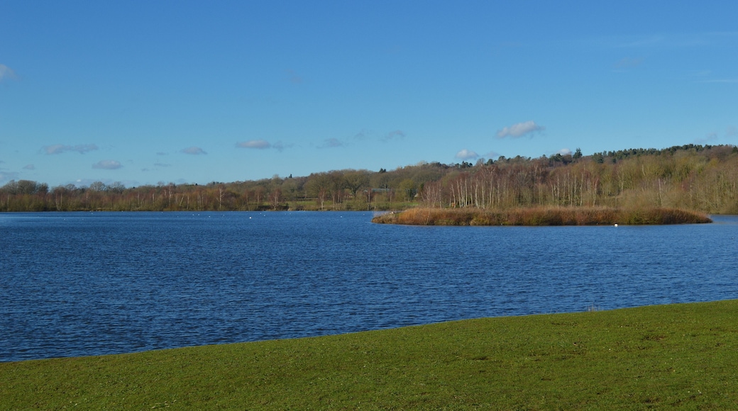 Horseshoe Lake in the Yateley Complex