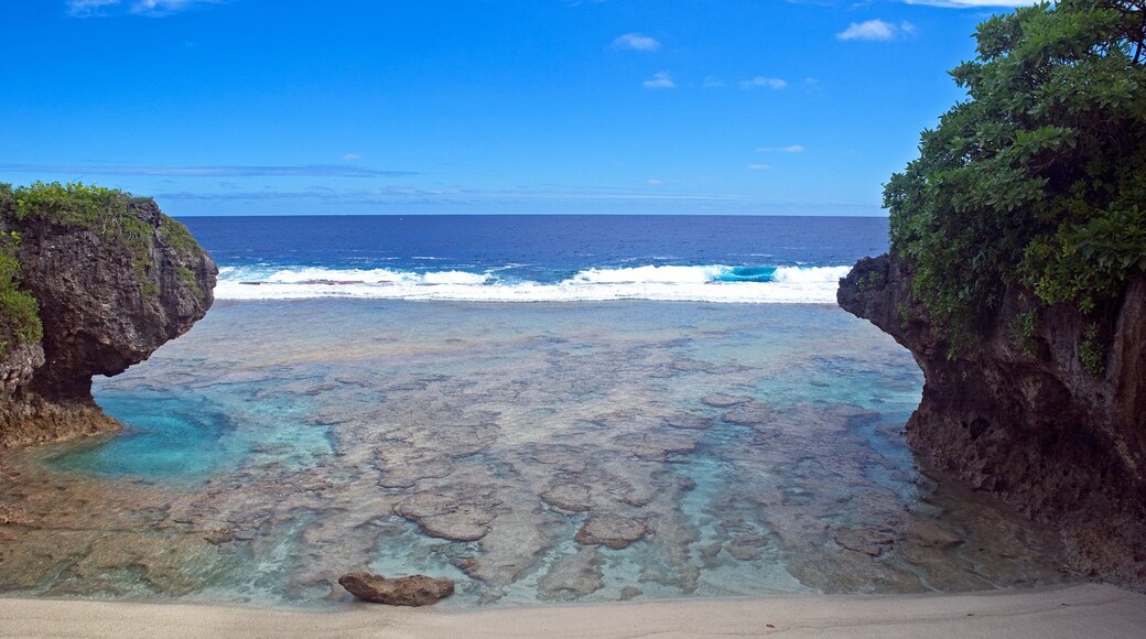 Tamakautoga mostrando corales