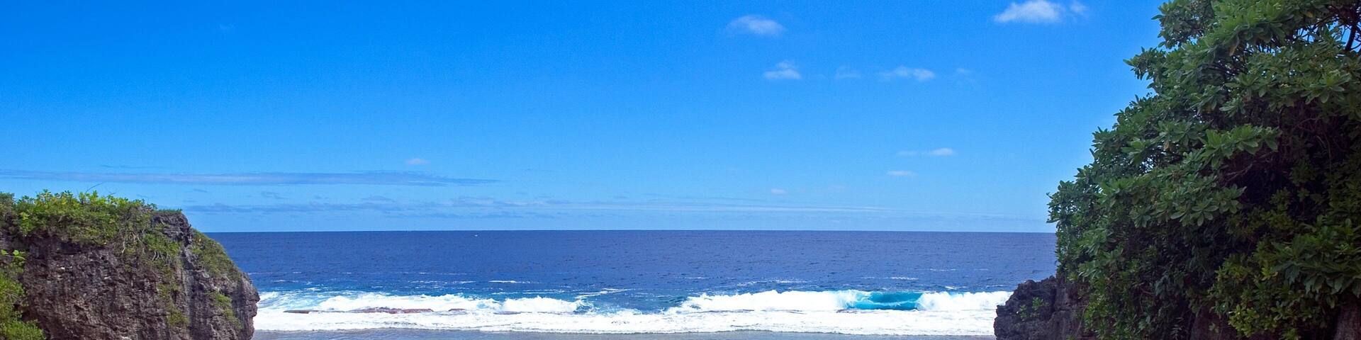 タマカウトガ どの含み カラフルな珊瑚礁