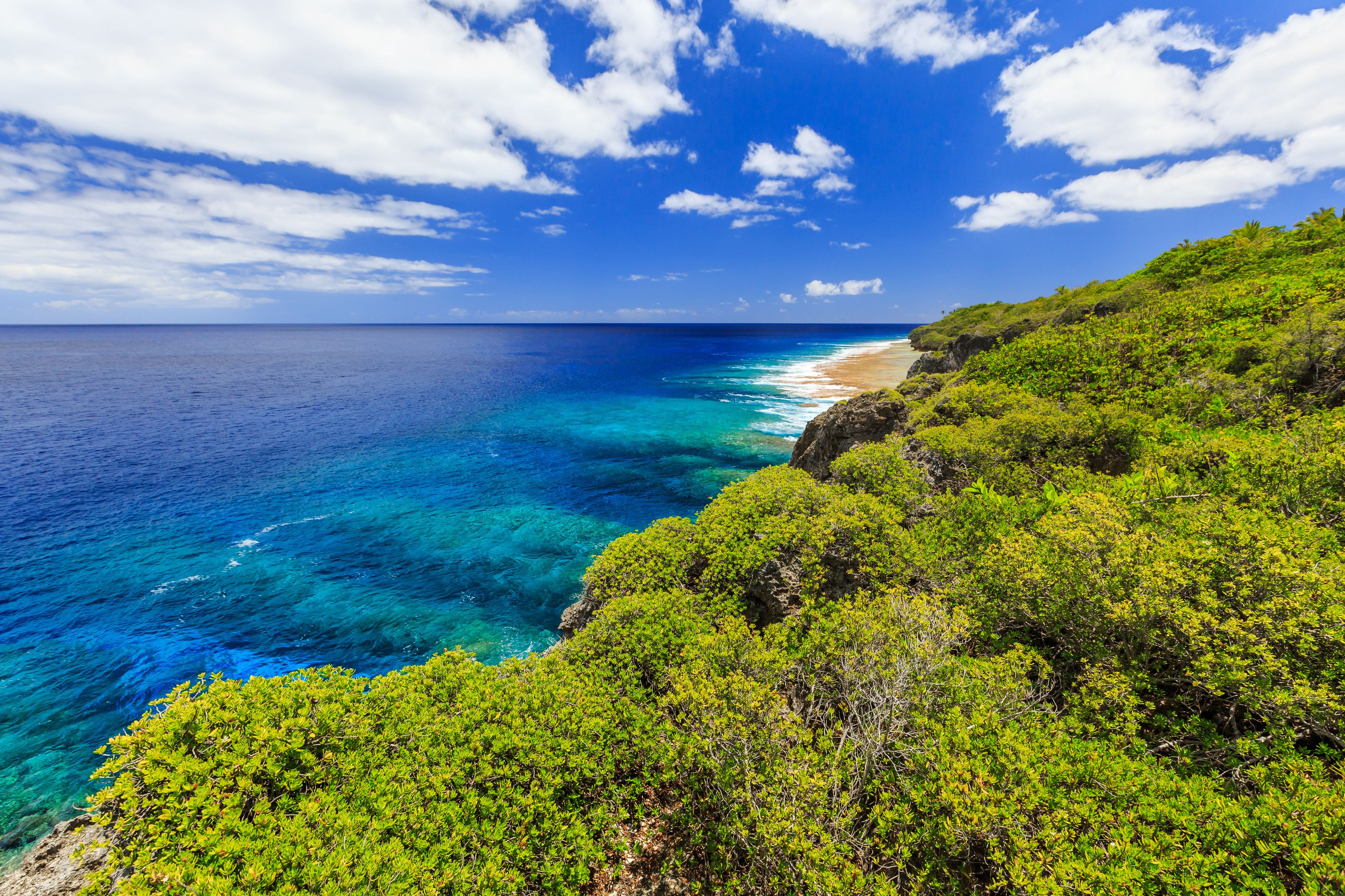 Un paisaje costero con aguas azul cristalino, una playa arenosa y abundante vegetación verde.