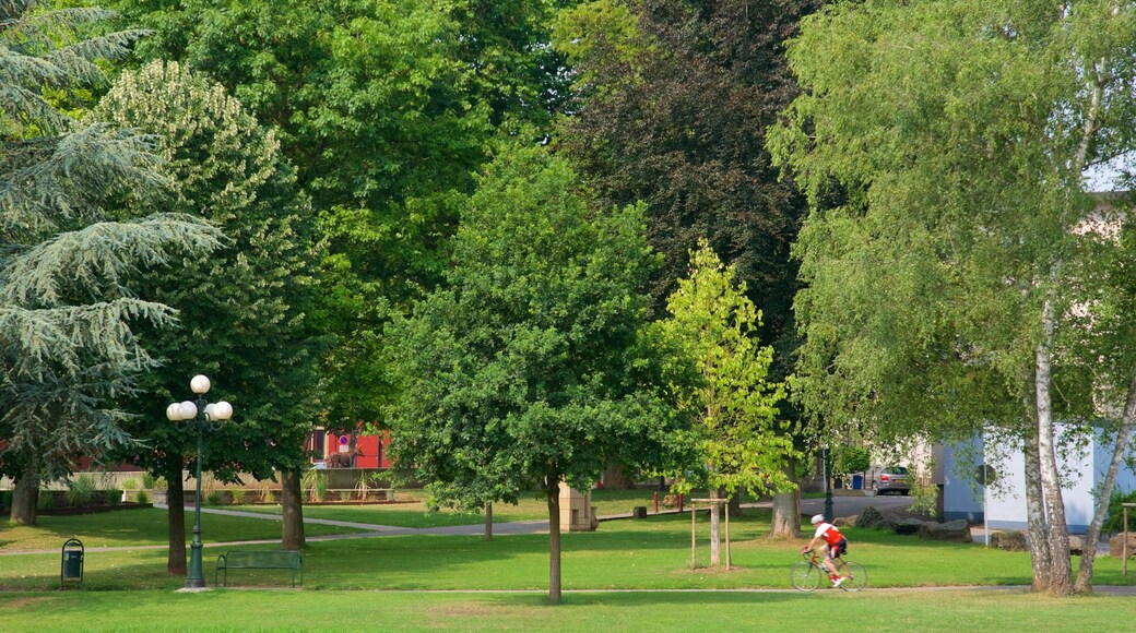 Diekirch mit einem Fahrradfahren und Garten sowie einzelner Mann