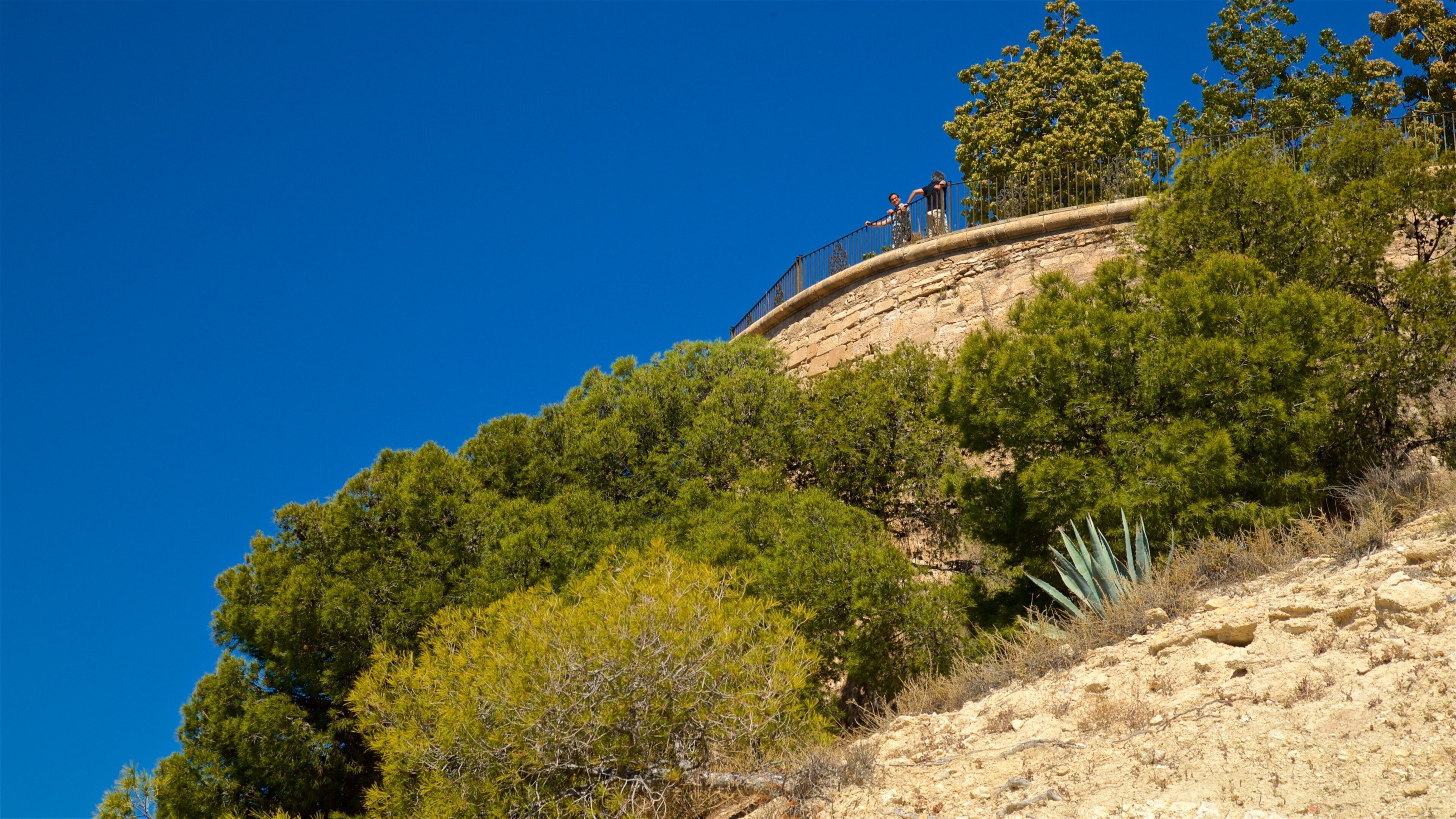 San Fernando Castle showing views as well as a couple