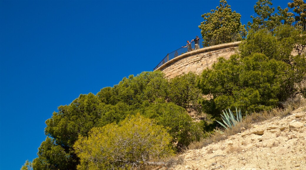 San Fernando Castle showing views as well as a couple