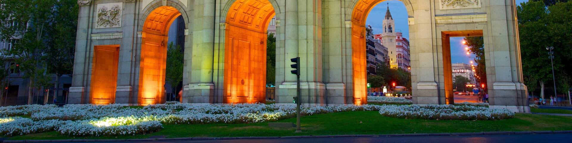 Puerta de Alcala featuring flowers, heritage architecture and night scenes