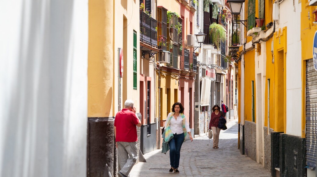 Macarena showing street scenes as well as an individual femail