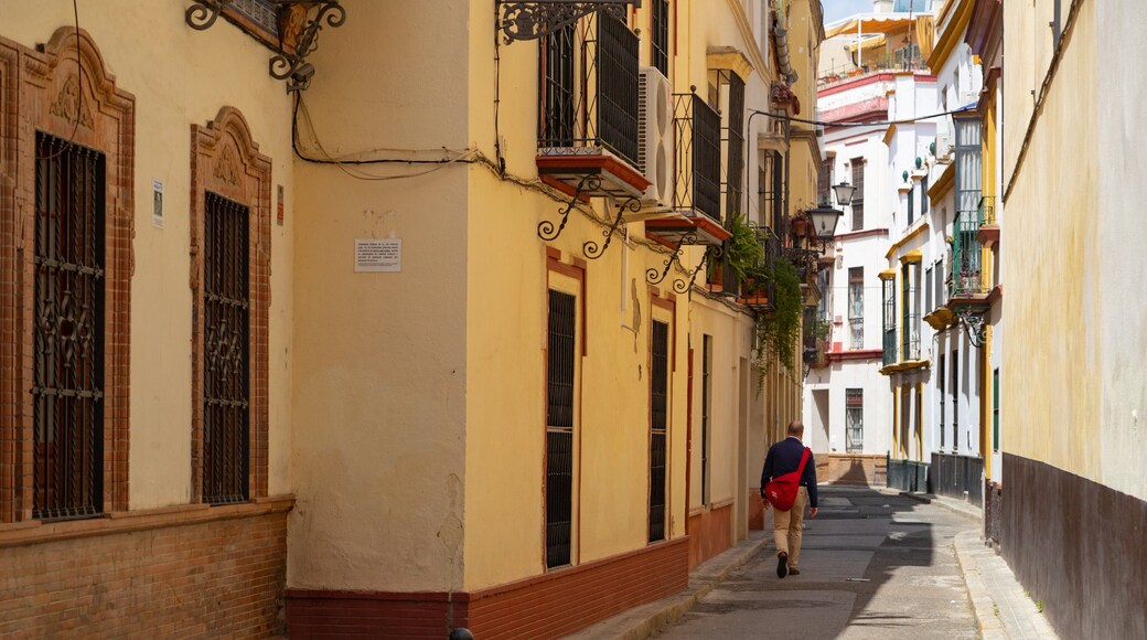 Macarena showing street scenes as well as an individual male