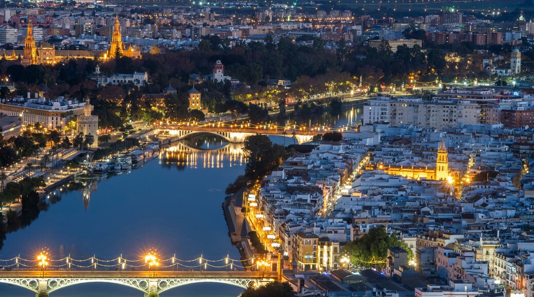 view of Sevilla by night,