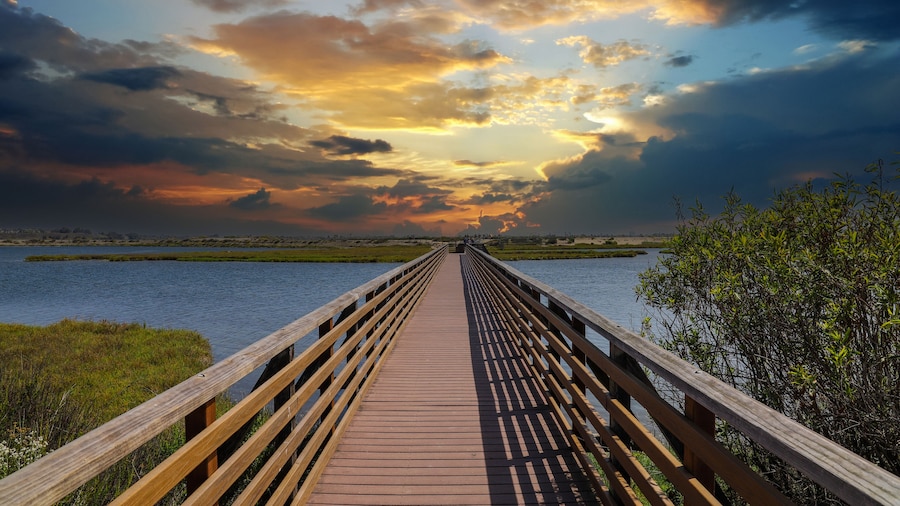 Bolsa Chica Ecological Reserve (Feuchtgebiet)