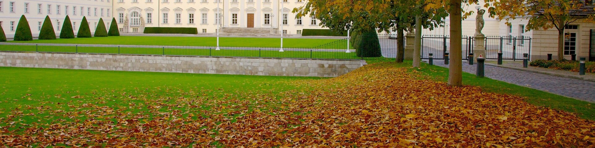 Schloss Bellevue welches beinhaltet Herbstblätter, Garten und Palast oder Schloss