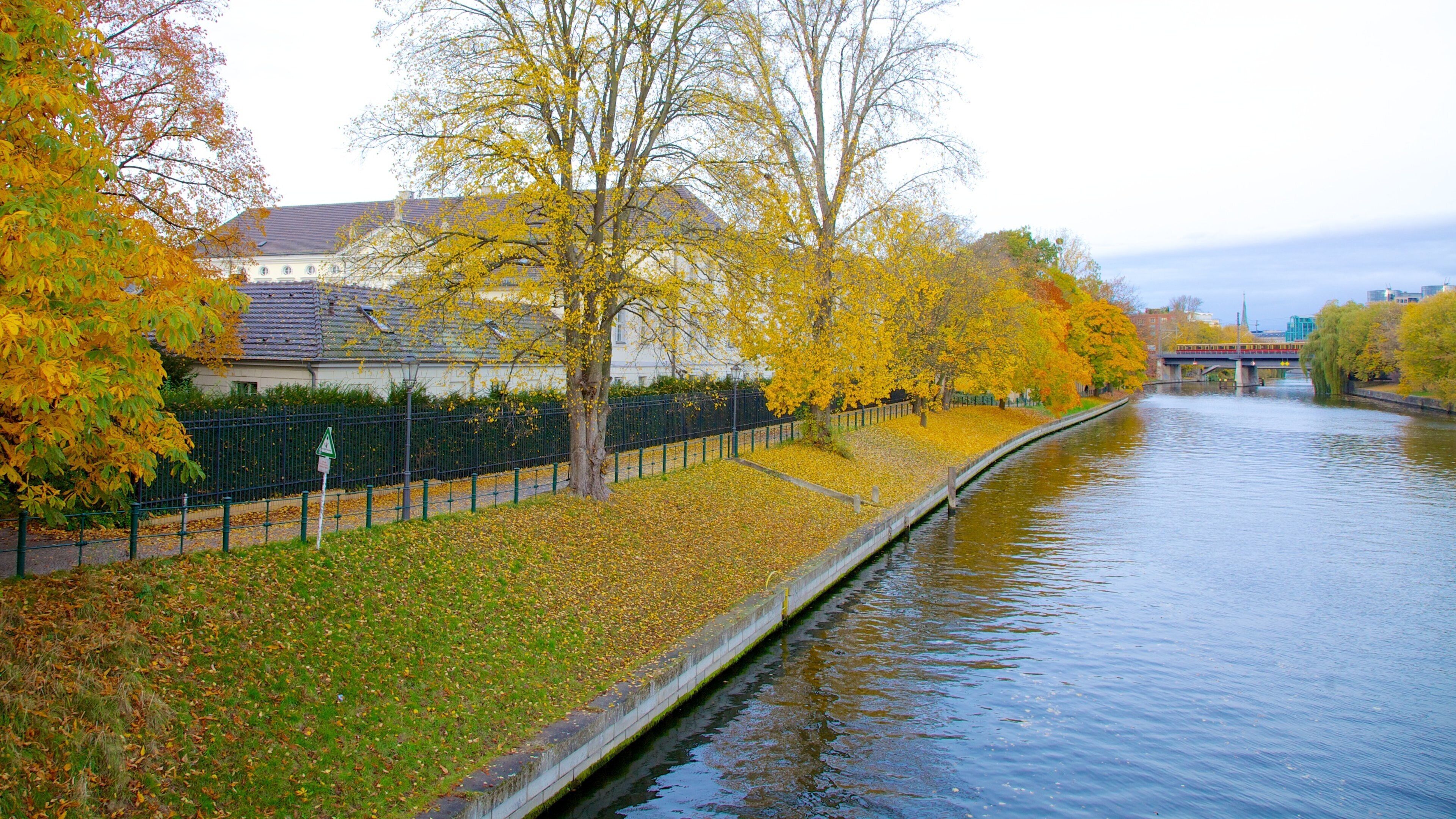 Bellevue Palace featuring a river or creek, autumn leaves and a bridge