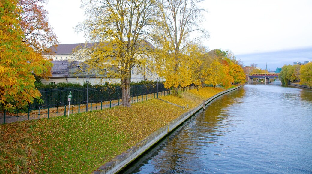 Bellevue Palace featuring a river or creek, autumn leaves and a bridge
