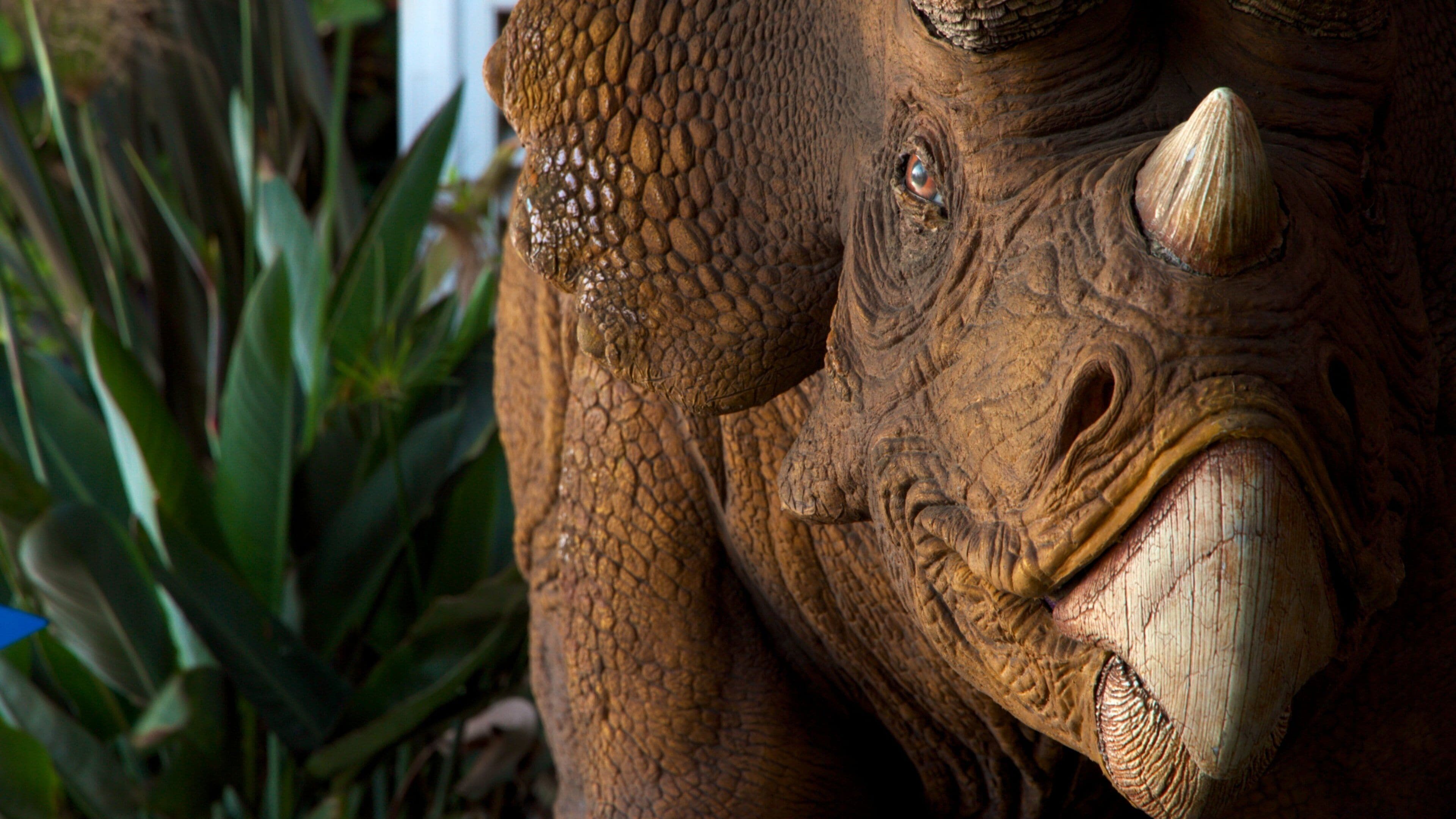 Discovery Science Center 呈现出 內部景觀