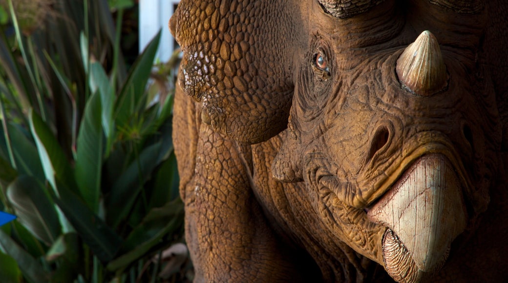 Discovery Science Center 呈现出 內部景觀