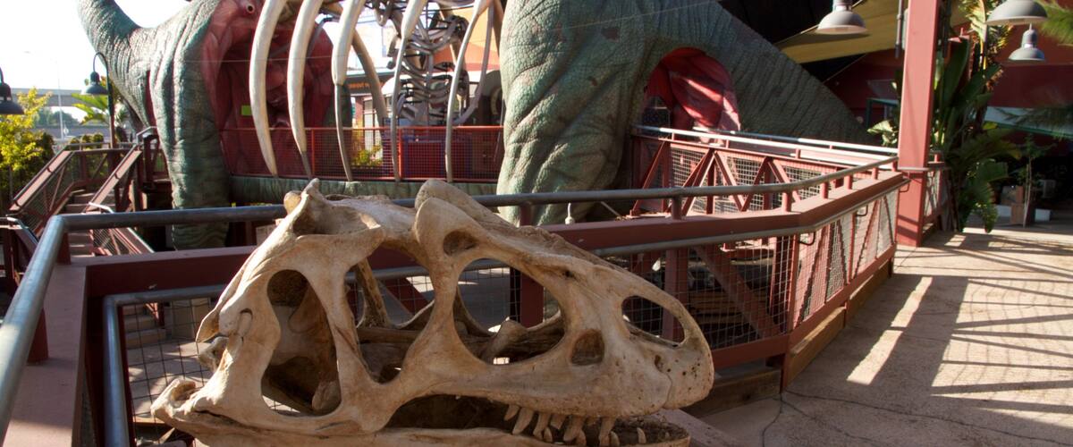 Discovery Science Center