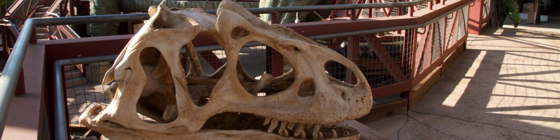 Discovery Science Center