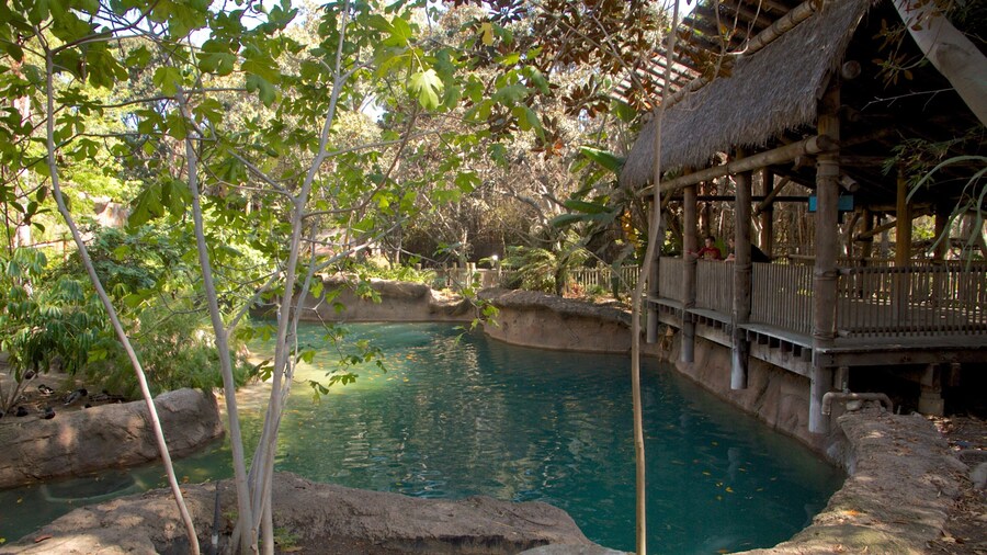 Santa Ana Zoo showing a pond, landscape views and a garden