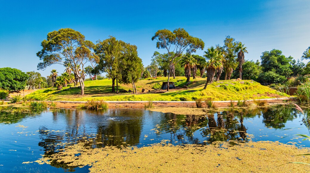 Western Lowland Gorilla enclosure at the Werribee Open Range Zoo Melbourne