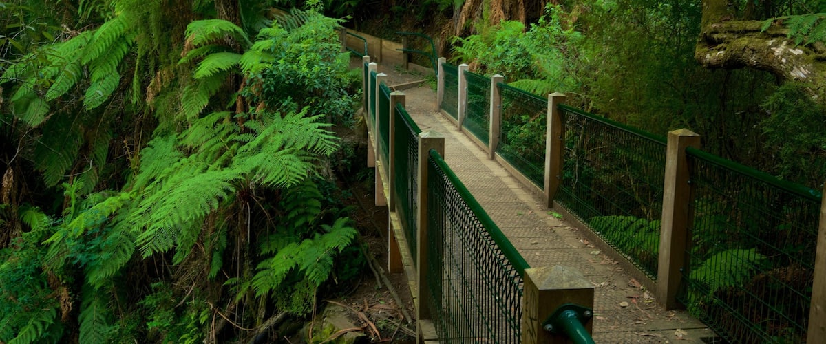 Forêt de Sherbrooke mettant en vedette parc