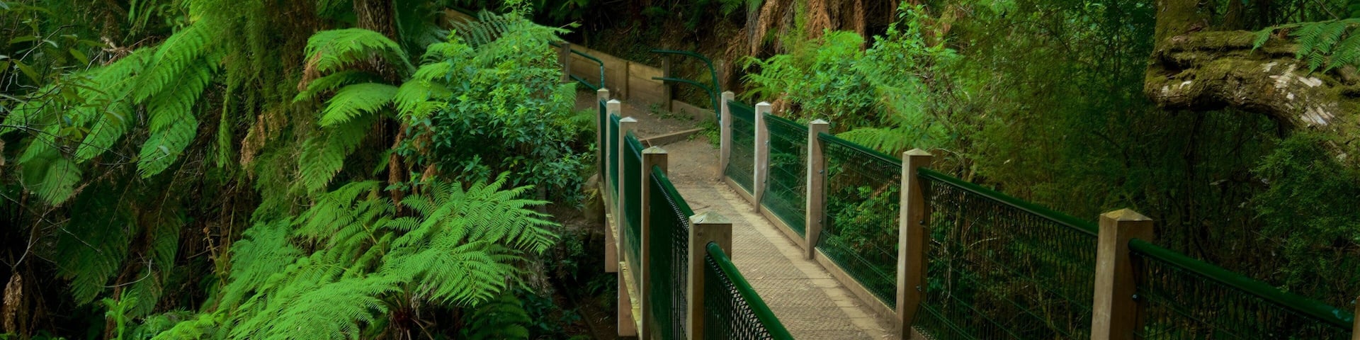 Sherbrooke Forest which includes a park