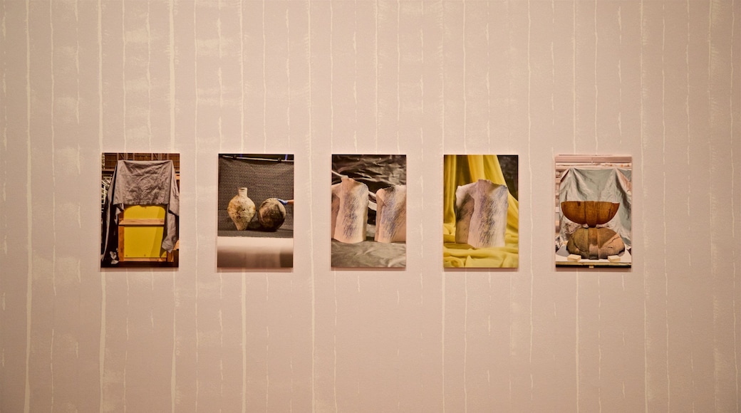 Ian Potter Museum of Art