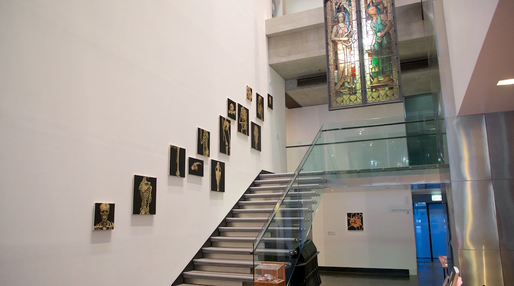 Ian Potter Museum of Art