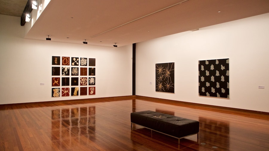 Ian Potter Museum of Art