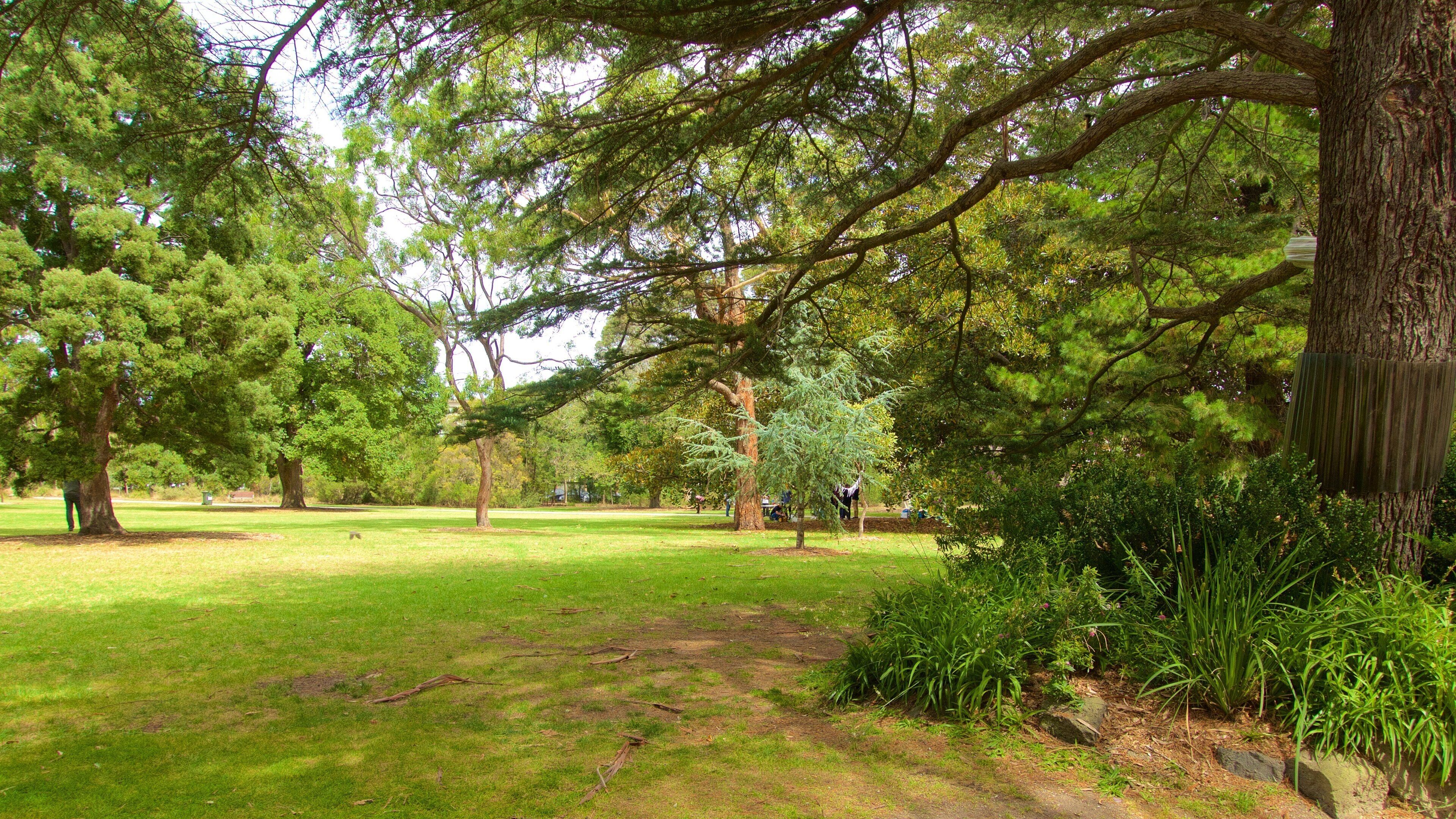 St. Kilda Botanical Gardens featuring a garden
