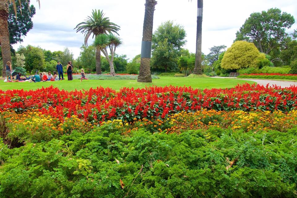 Un parc amb un massís floral colorit, arbustos verds i palmeres.