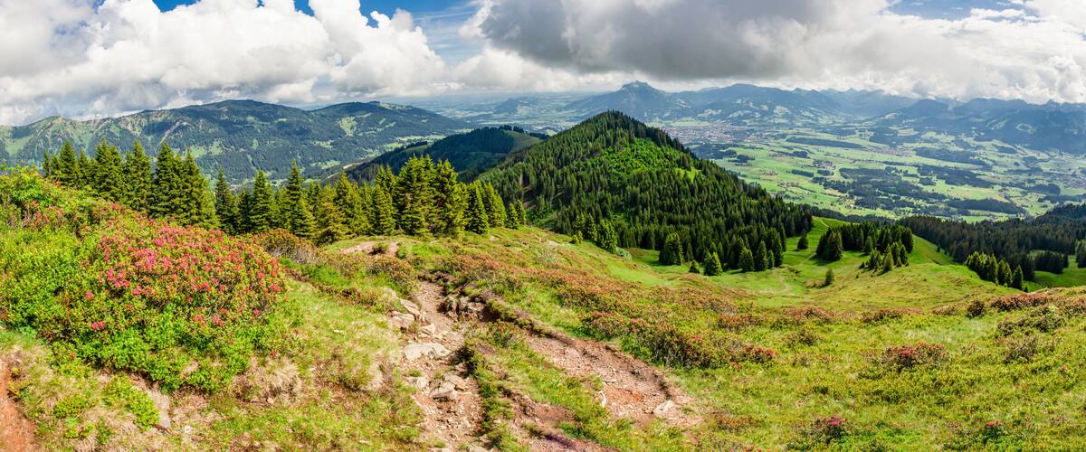 A mountainous landscape with a clear sky, a winding path, and dense forests.