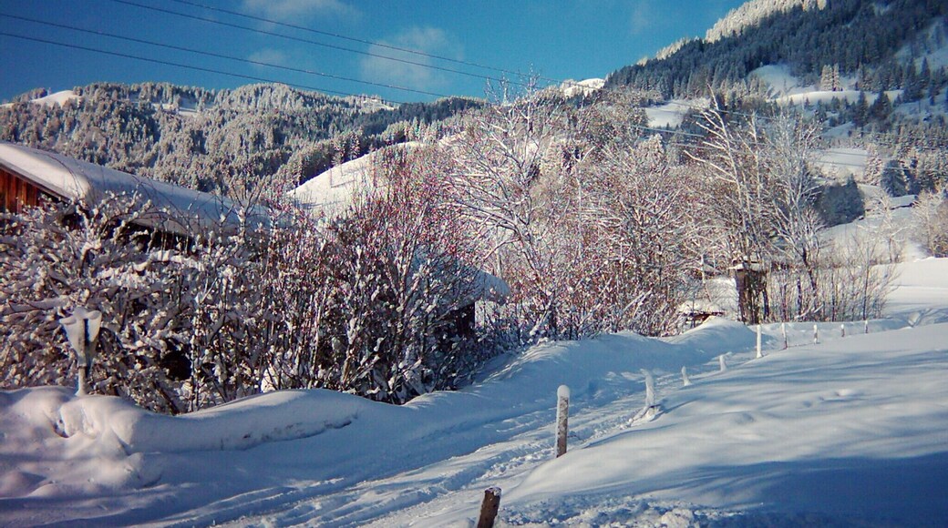 View from Knusperhäusel