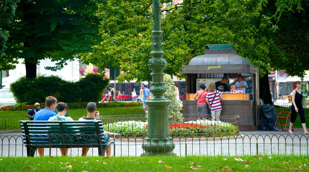 Piazza Bra showing a city and a garden as well as a small group of people