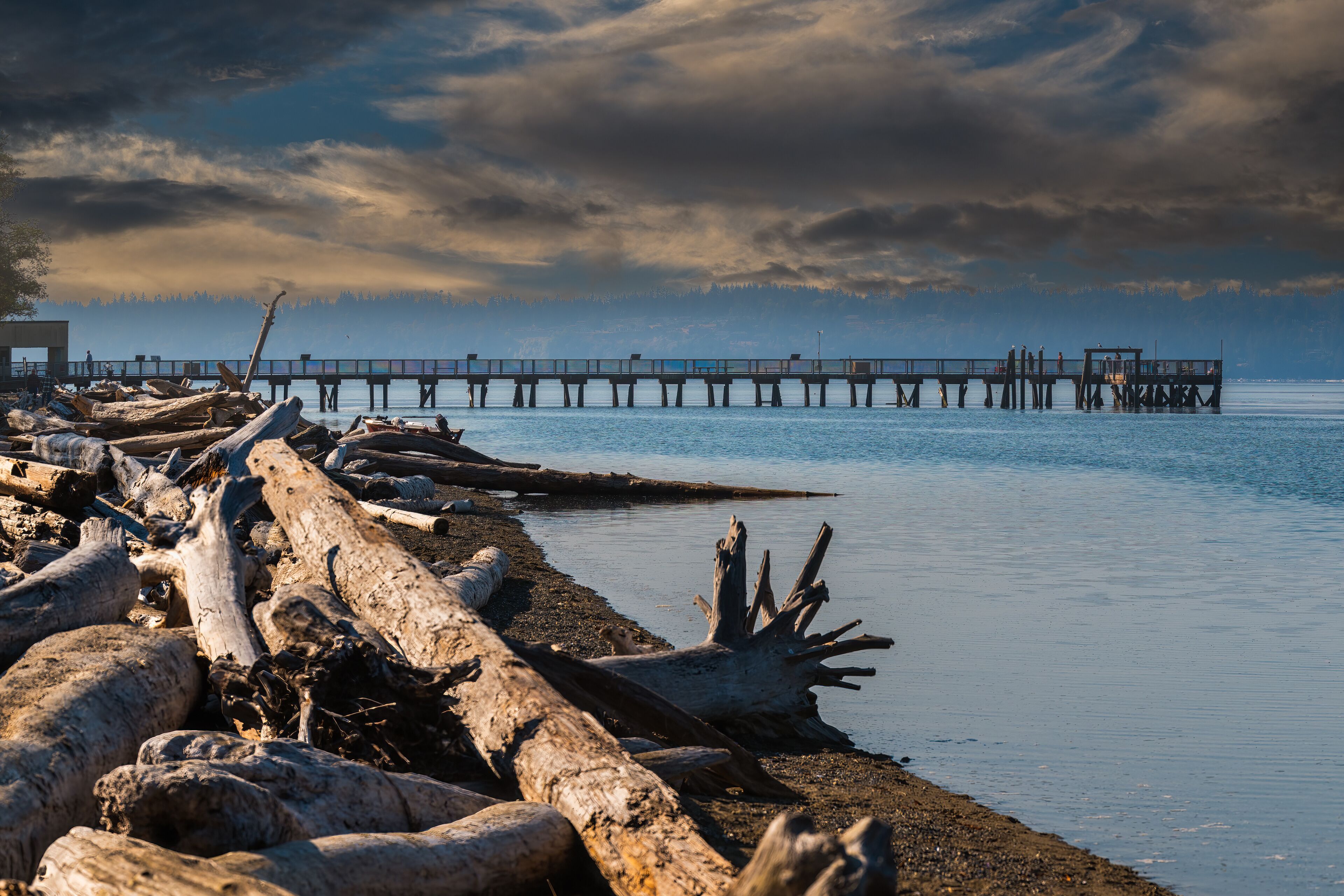 2022-12-03 THE PIER AND SHORELINE AT THE KAYAK REGIONAL PARK IN SNOHOMISH COUNTY